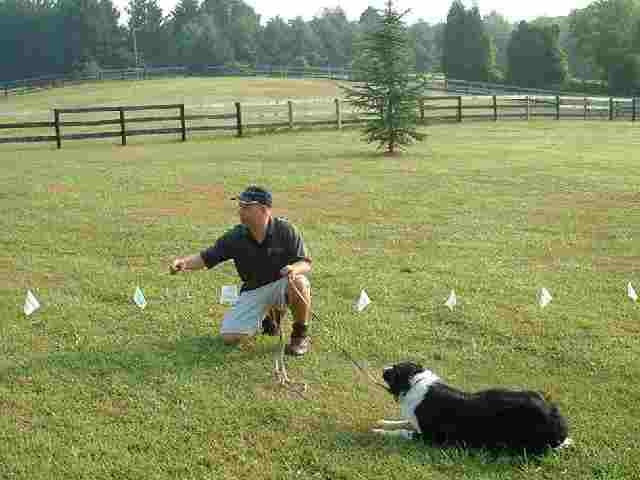 Dig Trenches As Needed To Lay The Boundary Wire And Bury It